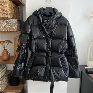 Aritzia Wilfred Free Down Puffer 